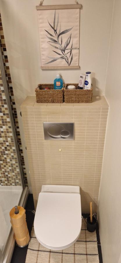 Apartman Franko- Jarun Zágráb Kültér fotó