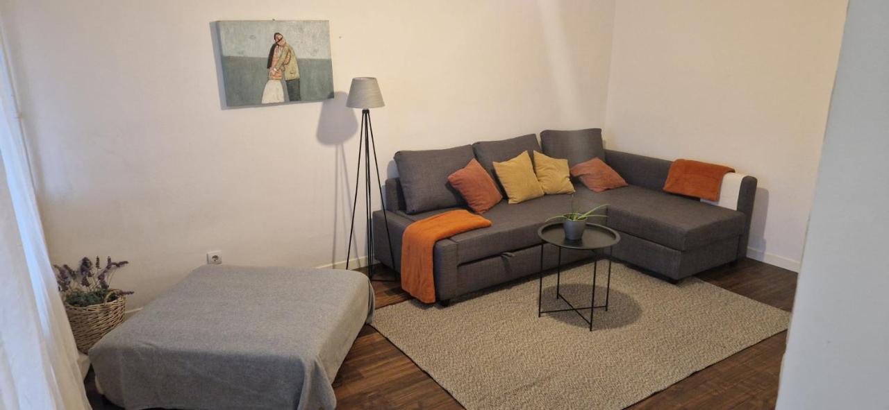 Apartman Franko- Jarun Zágráb Kültér fotó